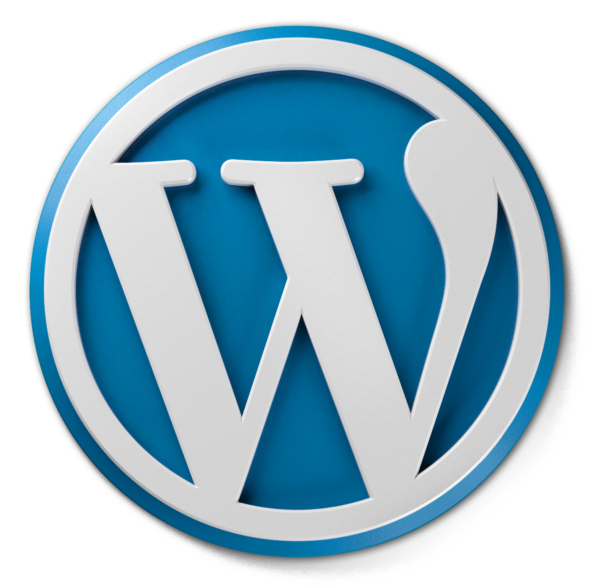 wordpress developer